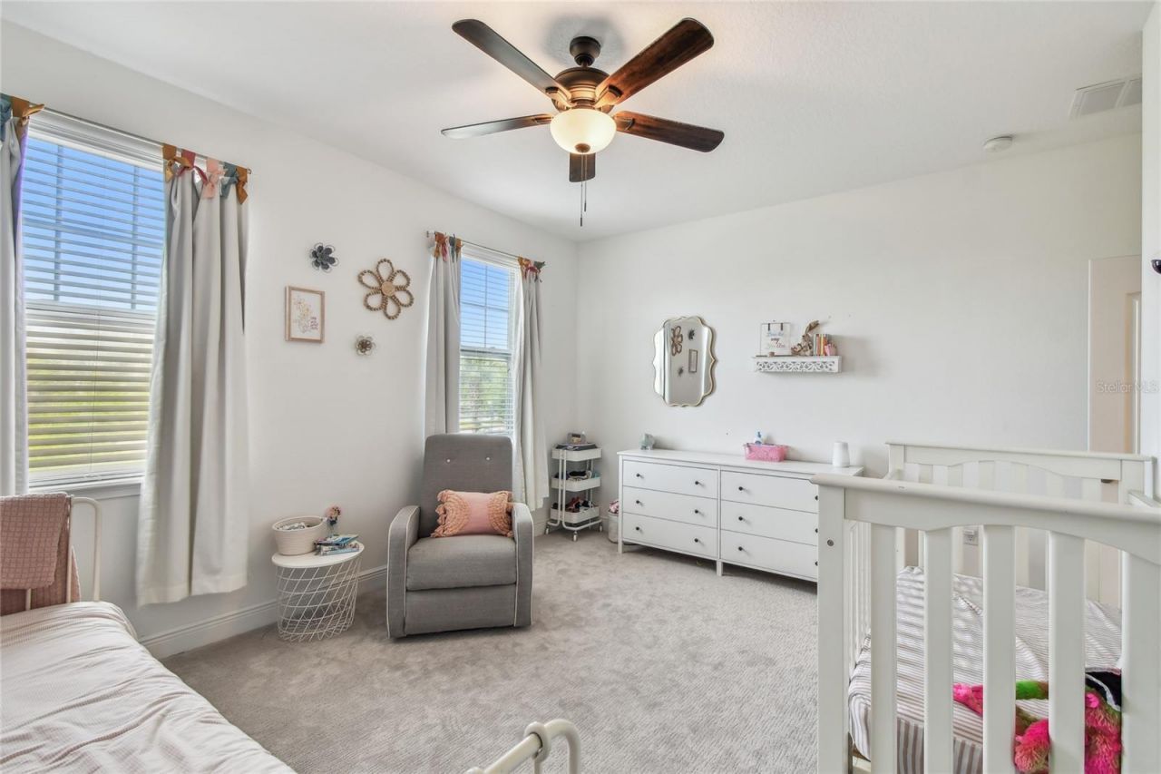 11307 Quiet Forest Drive, Tampa, FL 33635 Photo