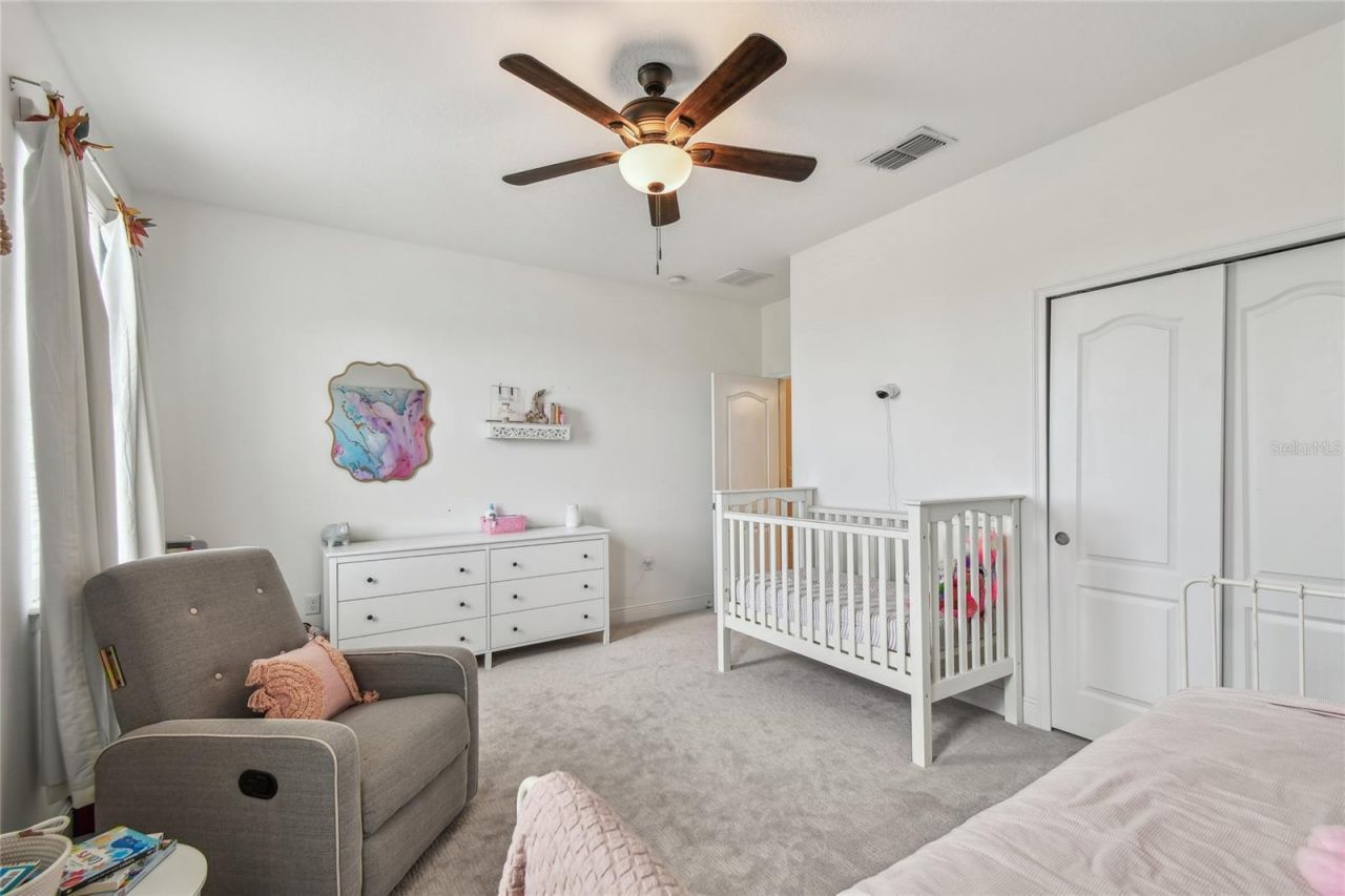 11307 Quiet Forest Drive, Tampa, FL 33635 Photo