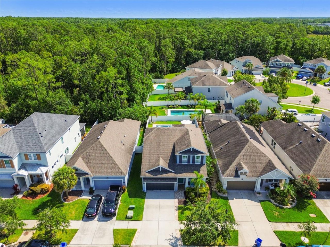 11307 Quiet Forest Drive, Tampa, FL 33635 Photo