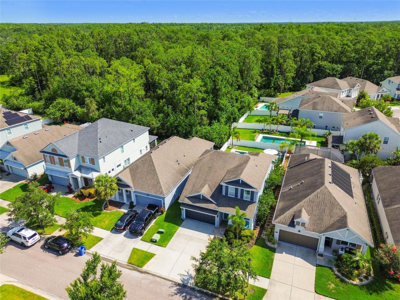 11307 Quiet Forest Drive, Tampa, FL 33635 Photo