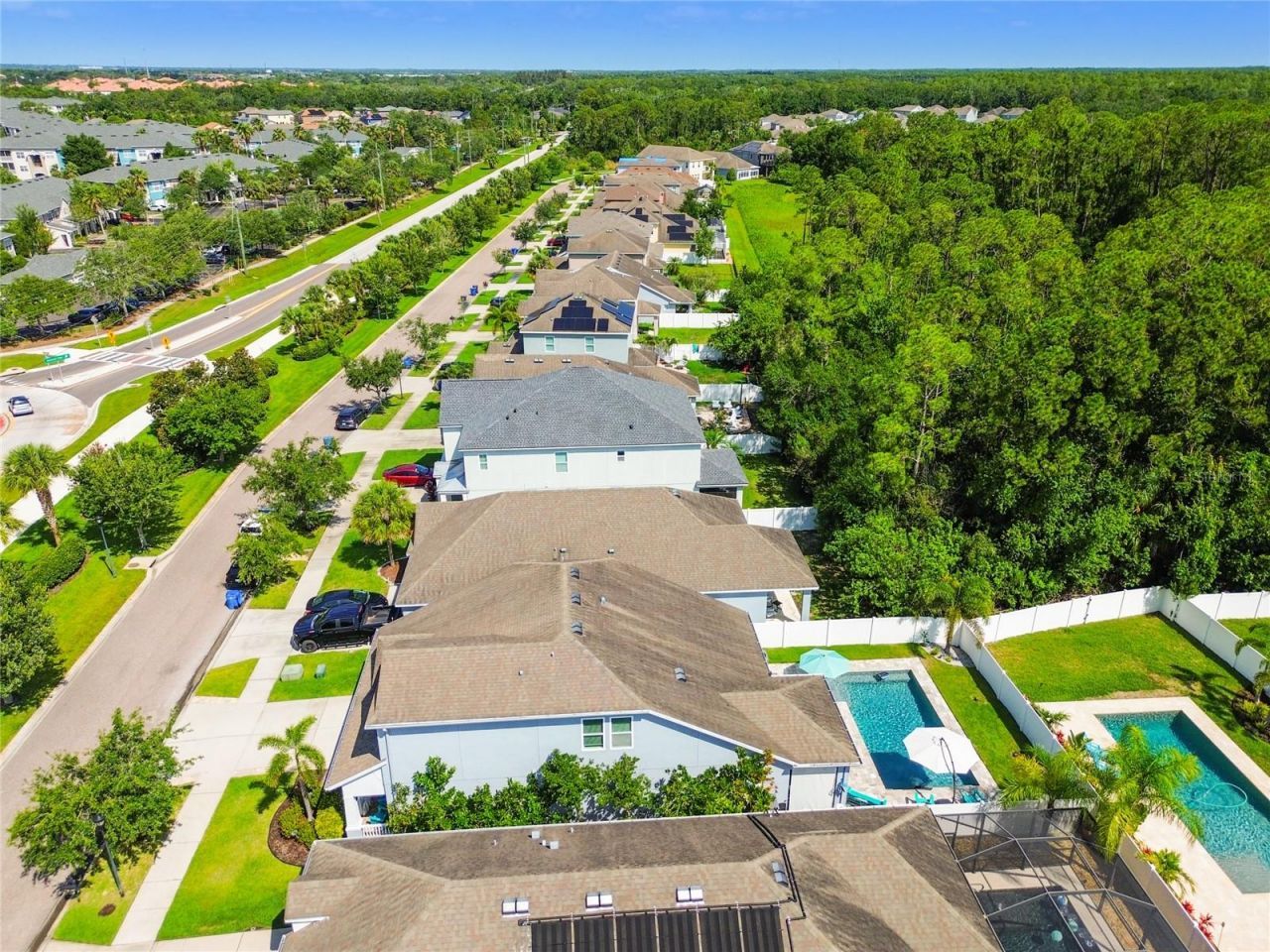 11307 Quiet Forest Drive, Tampa, FL 33635 Photo