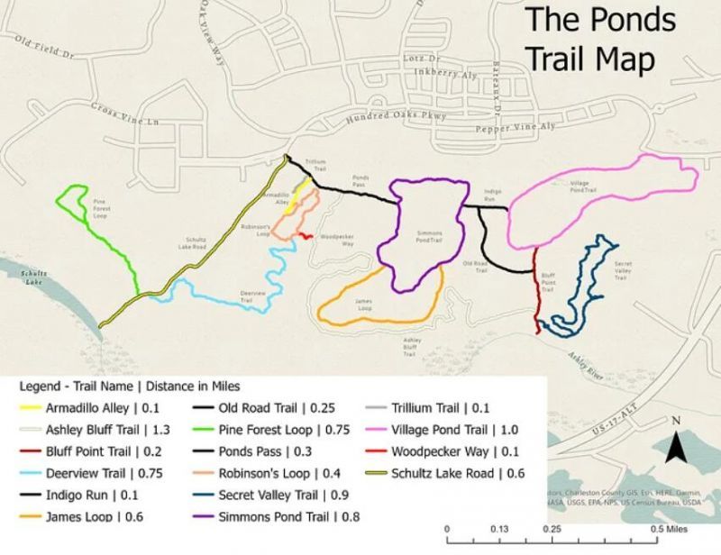 119 Loon Drive Photo 77