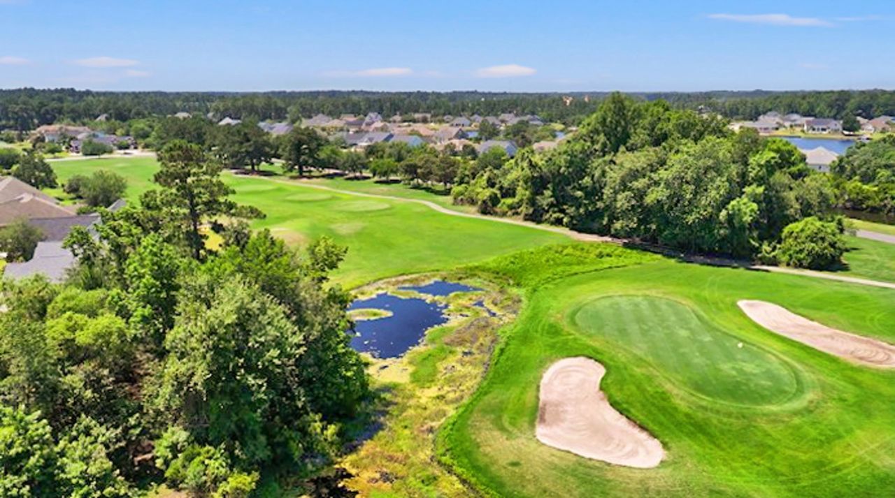 1025 Limpkin Dr. Photo 72