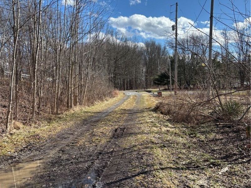 859 Jewell Road N, Newton Falls, OH 44444 Photo 12