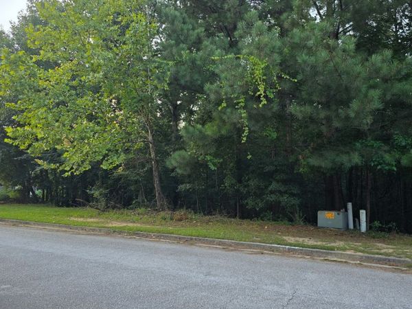 1628 Norris Landing Drive, Snellville, GA 30039