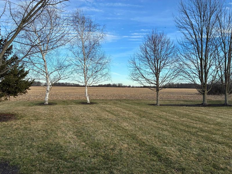 3025 Smartweed Lane, Grove City, OH 43123 Photo 6