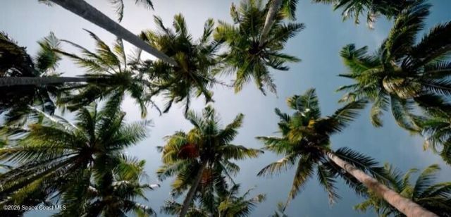 2728 Nilgiri Street NW , Palm Bay, FL 32907 Photo