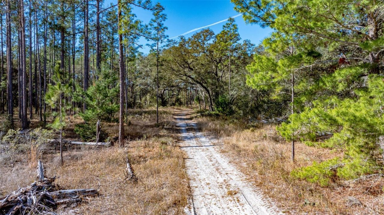 13615 Tyrone Street, Hudson, FL 34667 Photo