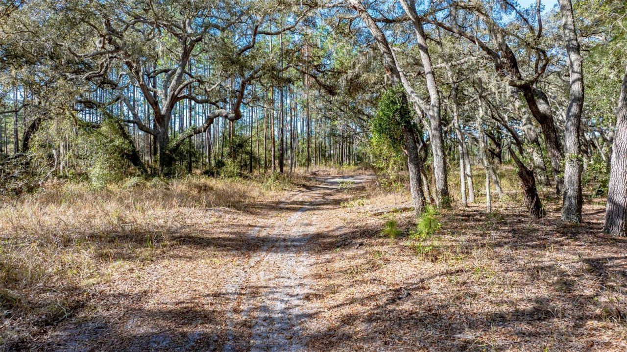 13615 Tyrone Street, Hudson, FL 34667 Photo