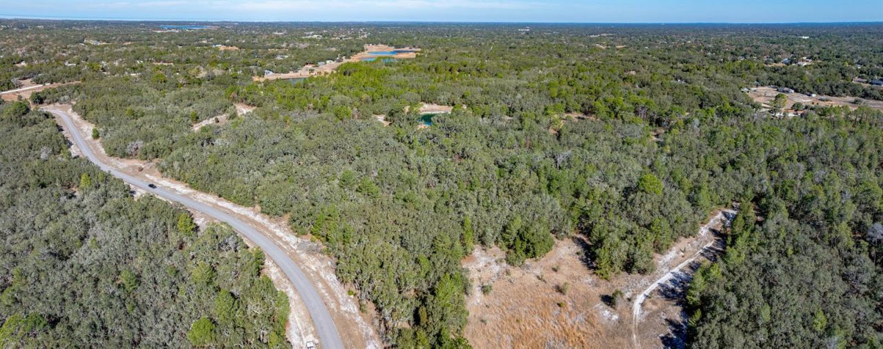 13615 Tyrone Street, Hudson, FL 34667 Photo