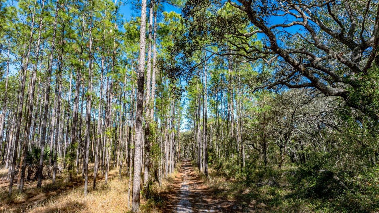 13615 Tyrone Street, Hudson, FL 34667 Photo