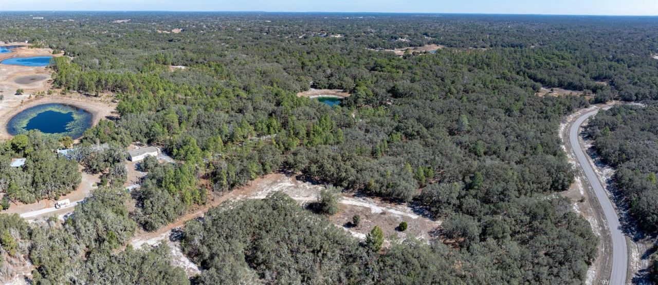 13615 Tyrone Street, Hudson, FL 34667 Photo