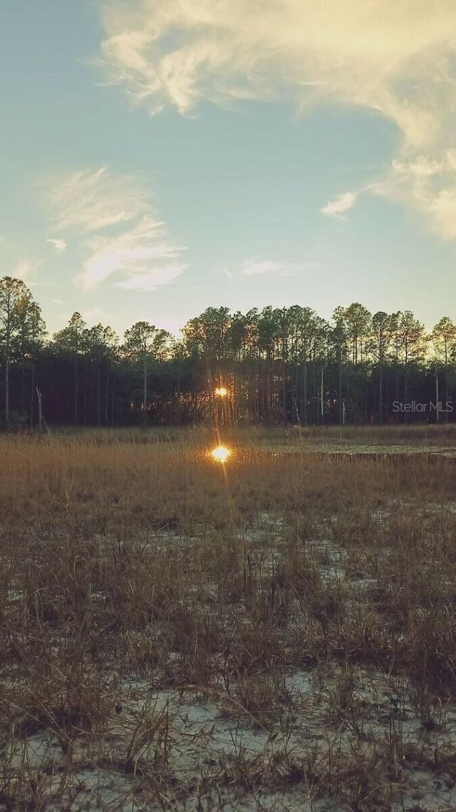 13615 Tyrone Street, Hudson, FL 34667 Photo