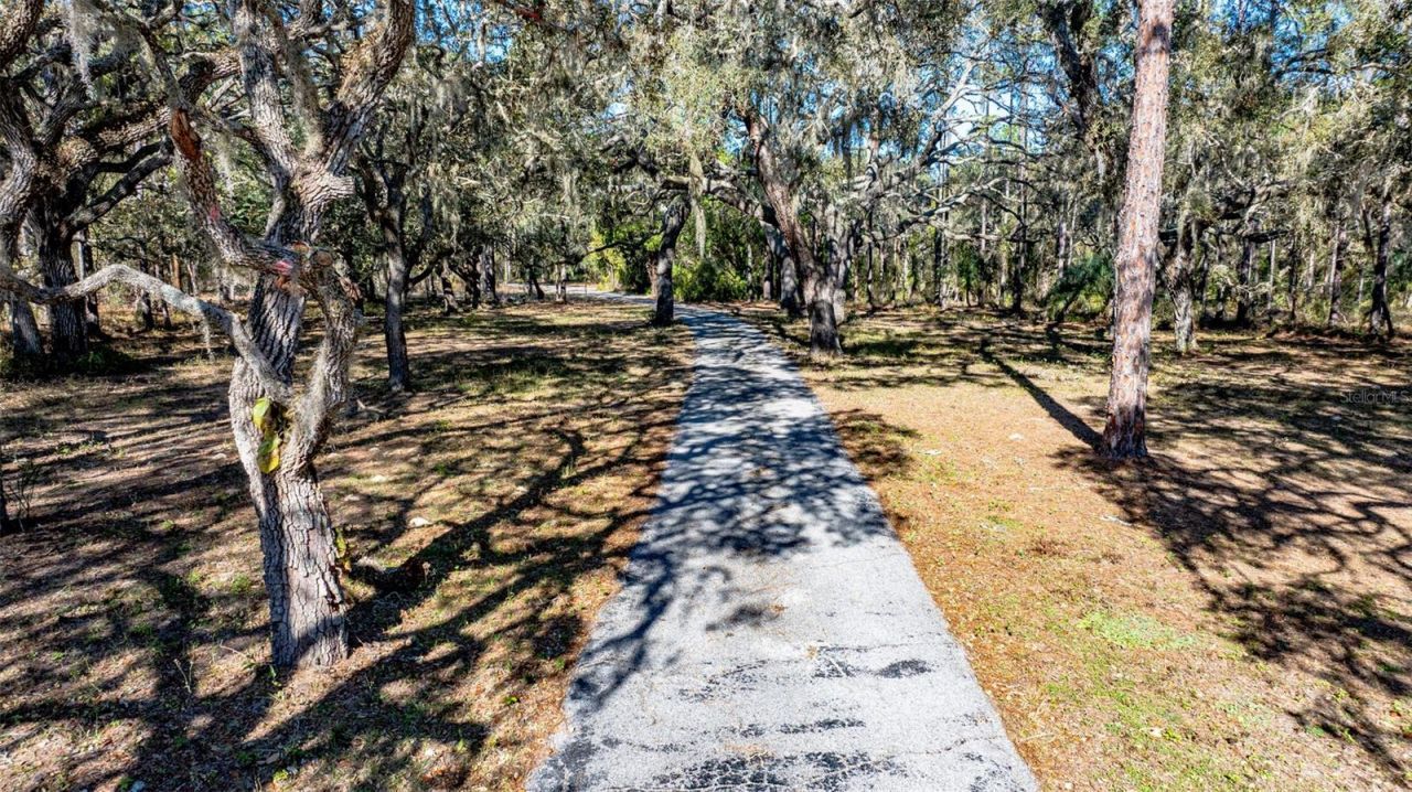 13615 Tyrone Street, Hudson, FL 34667 Photo