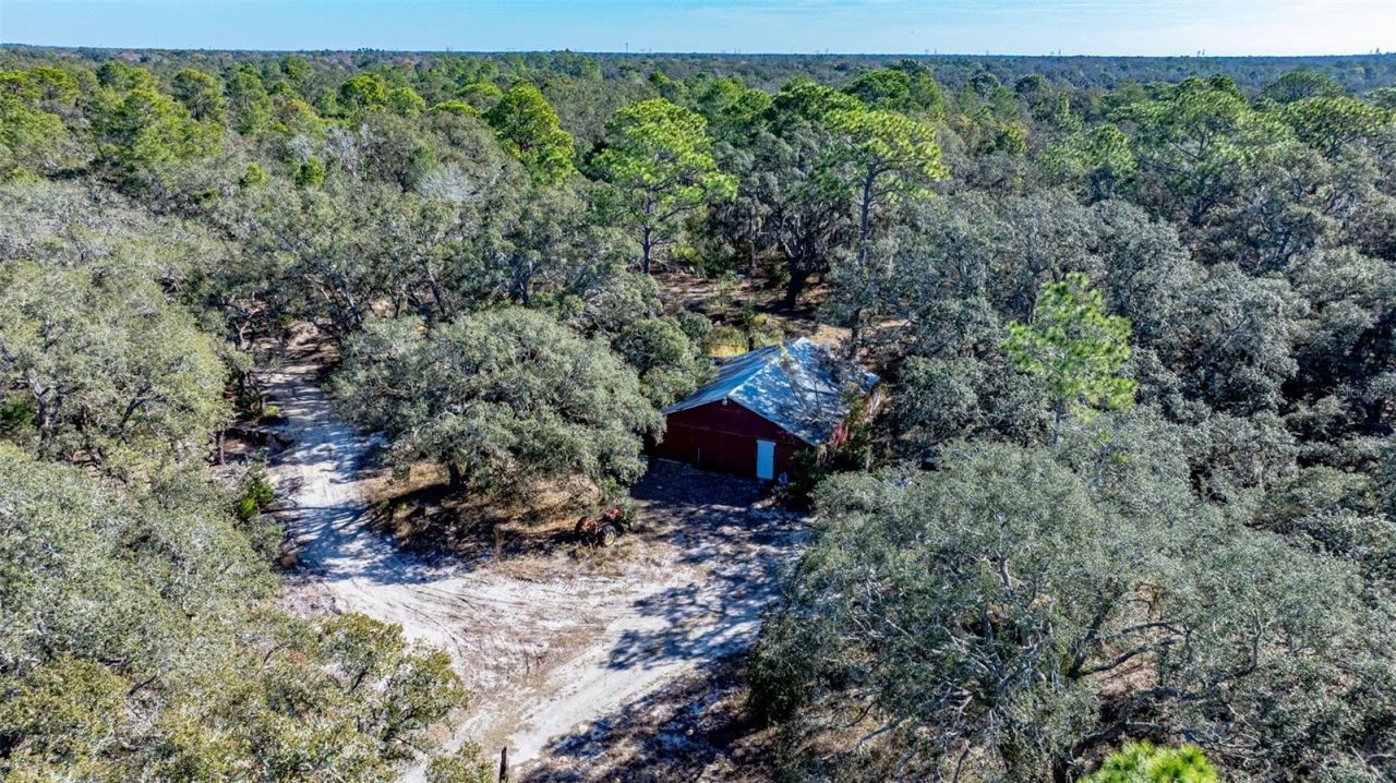 13615 Tyrone Street, Hudson, FL 34667 Photo