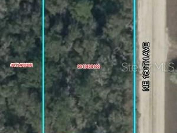 Lot 2 NE 160TH AVE, WILLISTON, FL 32696