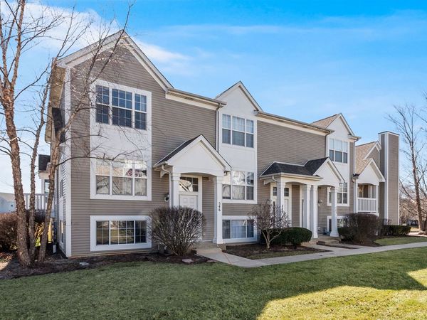 546 Meadow Lily Drive, Joliet, IL 60431