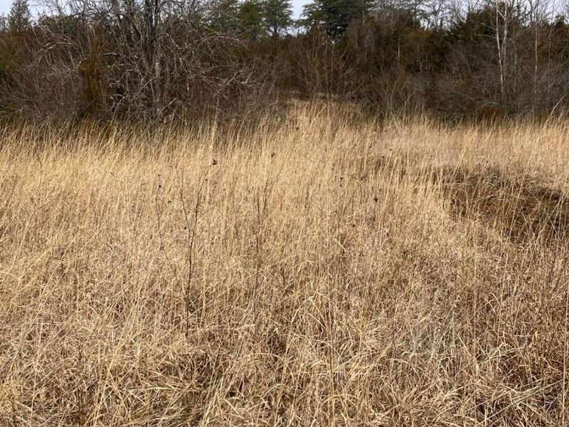 31648 State Route 41, Peebles, OH 45660 Photo 3