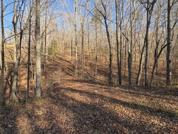 0 Gold View Drive, Dahlonega, GA 30533