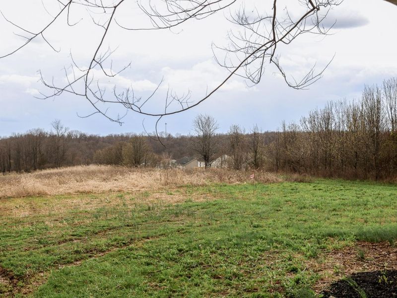 5220 Cody Road, Independence, KY 41051 Photo 22