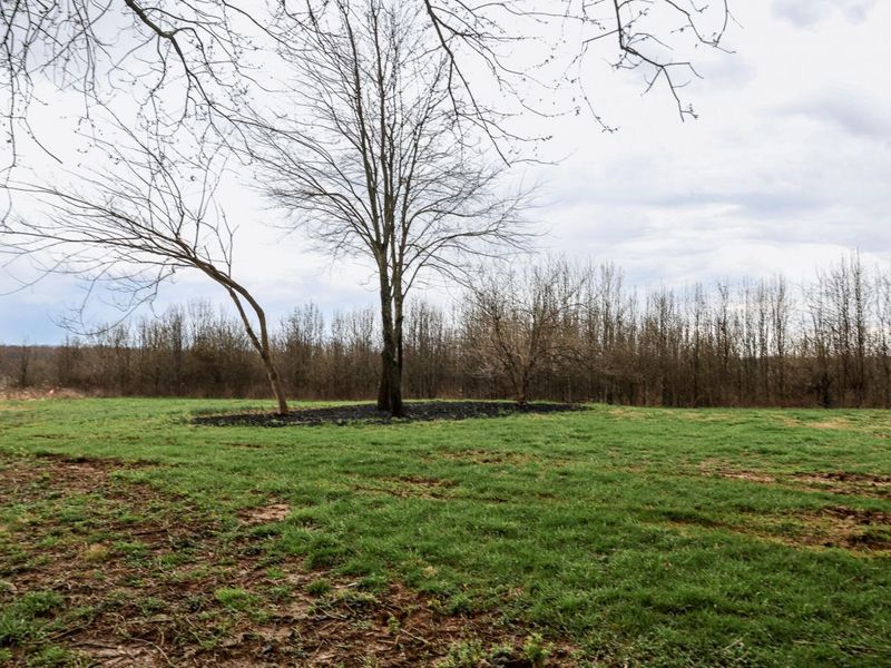 5220 Cody Road, Independence, KY 41051 Photo 23