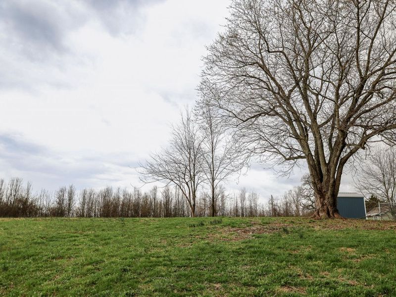 5220 Cody Road, Independence, KY 41051 Photo 7