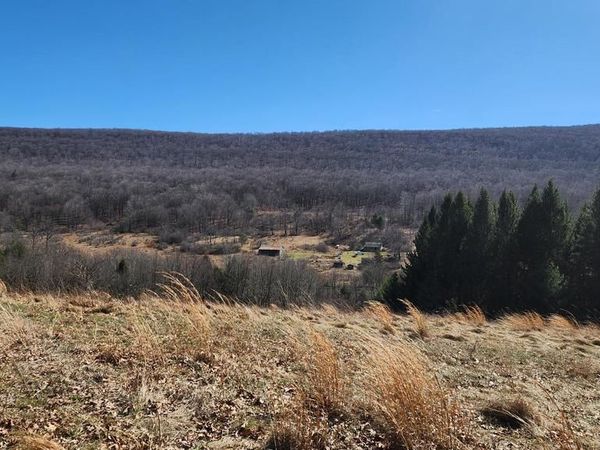 584 OLD WILSON ROAD , SWANTON, MD 21561