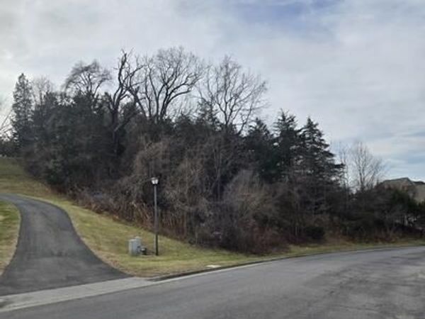 Lot 7 Frontier WAY , Fincastle, VA 24090