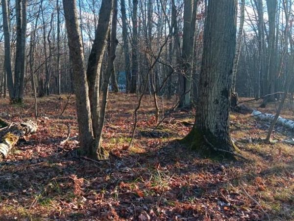 1782 Hemlock Lane , Lincoln Twp, MI 48622