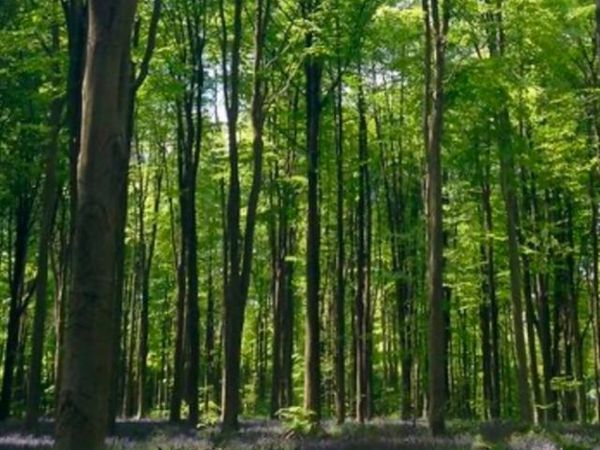 LOT 1 Winterberry Ln, Easton, MA 02256