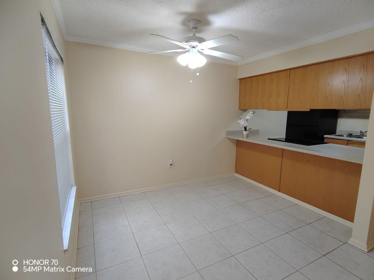 1044 82nd Terrace N, Unit 1044D, Saint Petersburg, FL 33702 Photo