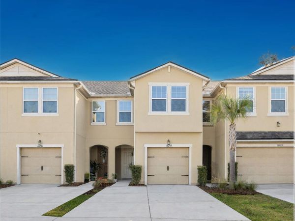 14205 DAMSELFLY DRIVE, TAMPA, FL 33625