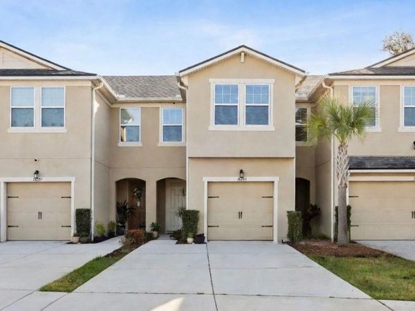 14205 DAMSELFLY DRIVE, TAMPA, FL 33625