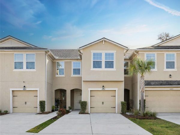 14205 DAMSELFLY DRIVE, TAMPA, FL 33625