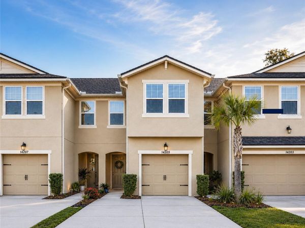 14205 DAMSELFLY DRIVE, TAMPA, FL 33625