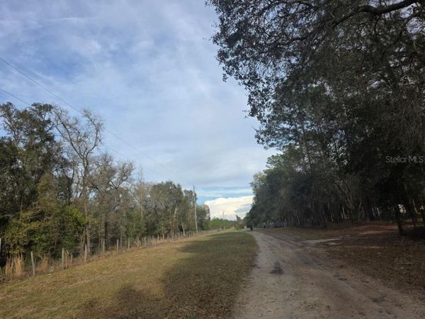 NE 62 PLACE, WILLISTON, FL 32696