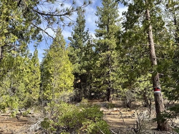 0 Whale Lane, Bonanza, OR 97623