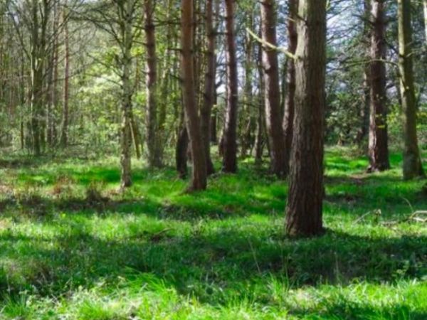 LOT 2 Winterberry Ln, Easton, MA 02256