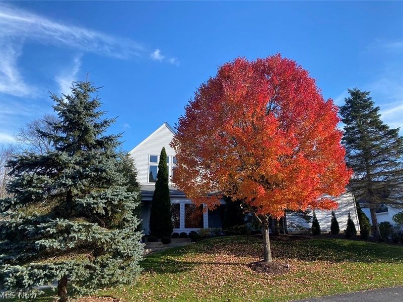 279 Tinkers Trail , Aurora, OH 44202 Photo 41