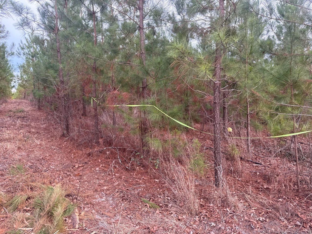 Qbf 12 Nurnberg Dr Road Photo 12