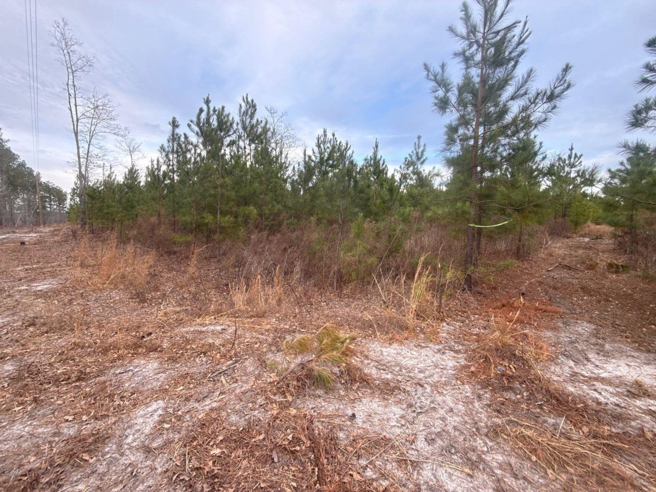 Qbf 12 Nurnberg Dr Road Photo 13