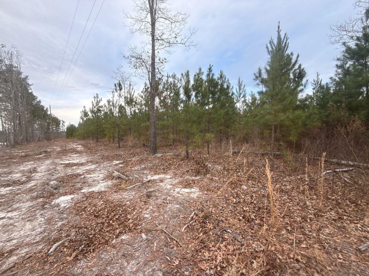 Qbf 12 Nurnberg Dr Road Photo 14