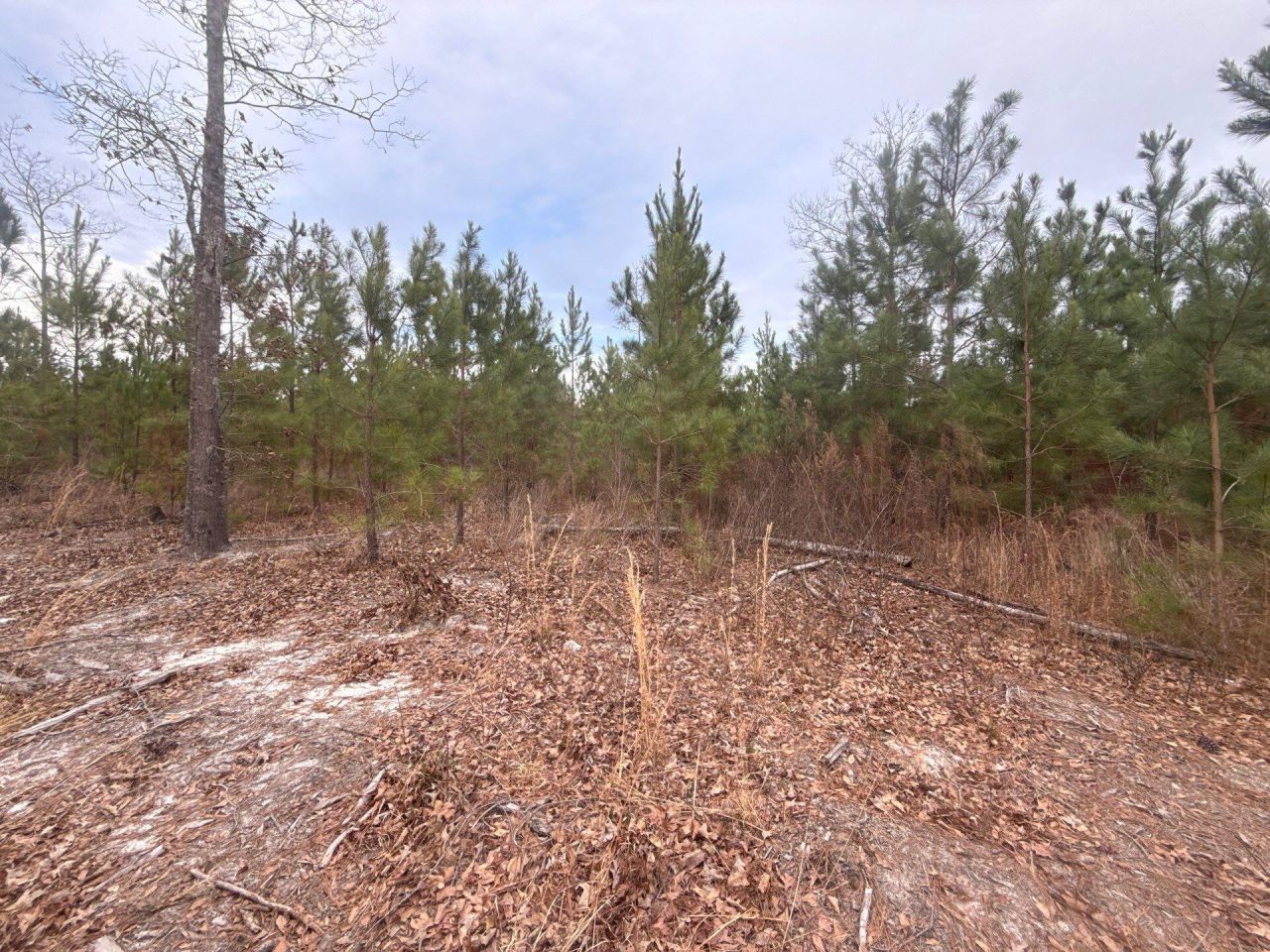 Qbf 12 Nurnberg Dr Road Photo 15