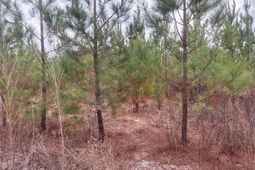 Qbf 12 Nurnberg Dr Road photo 4