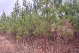 Qbf 12 Nurnberg Dr Road photo 4