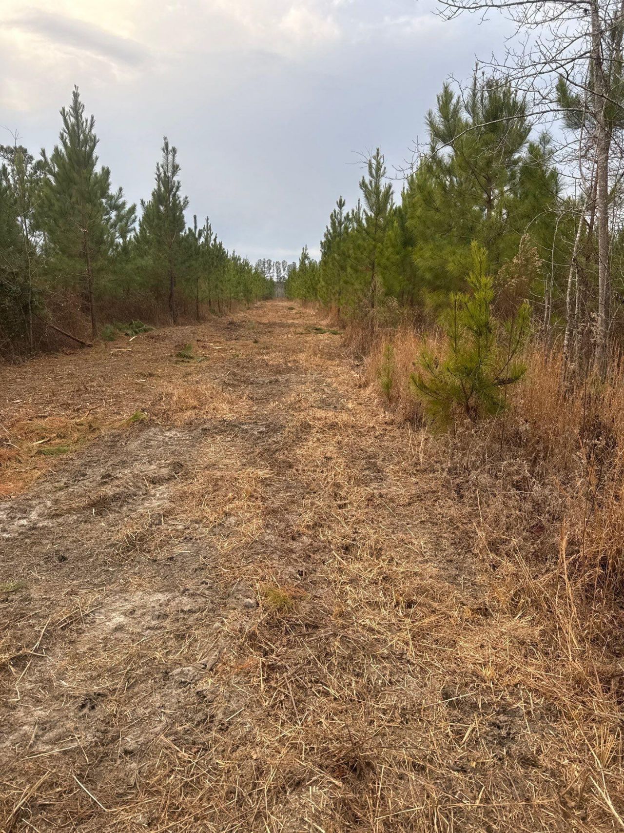 Qbf 12 Nurnberg Dr Road Photo 6