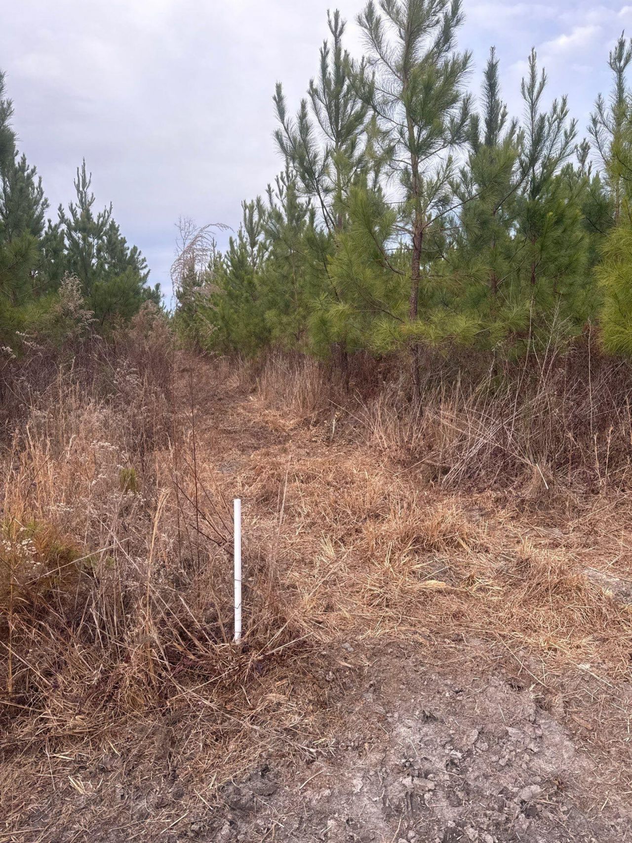 Qbf 12 Nurnberg Dr Road Photo 8