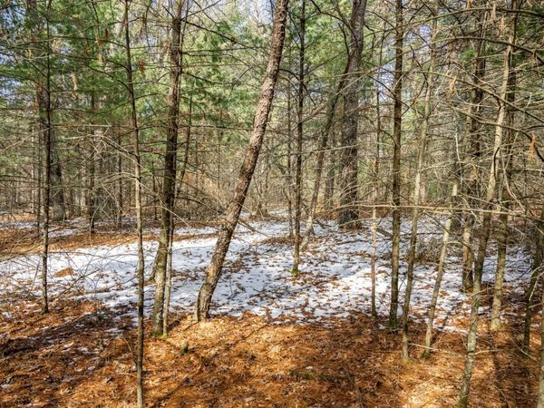Lot 38 S Badger Lane, Arkdale, WI 54613