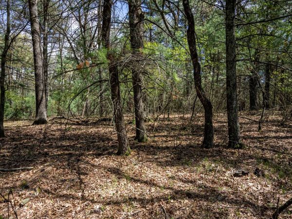 Lot 38 S Badger Lane, Arkdale, WI 54613