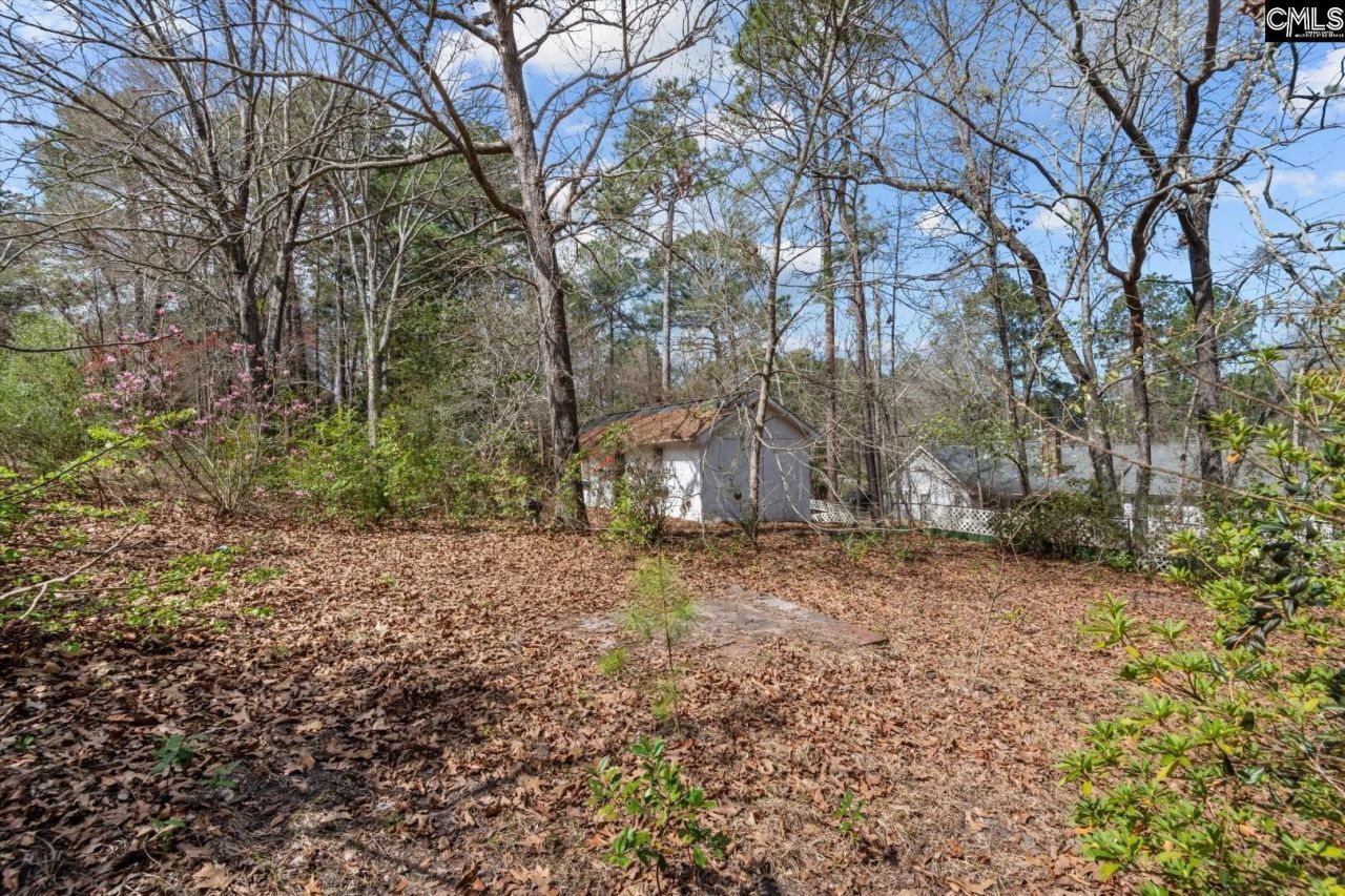 415 Bruce Drive Photo 34